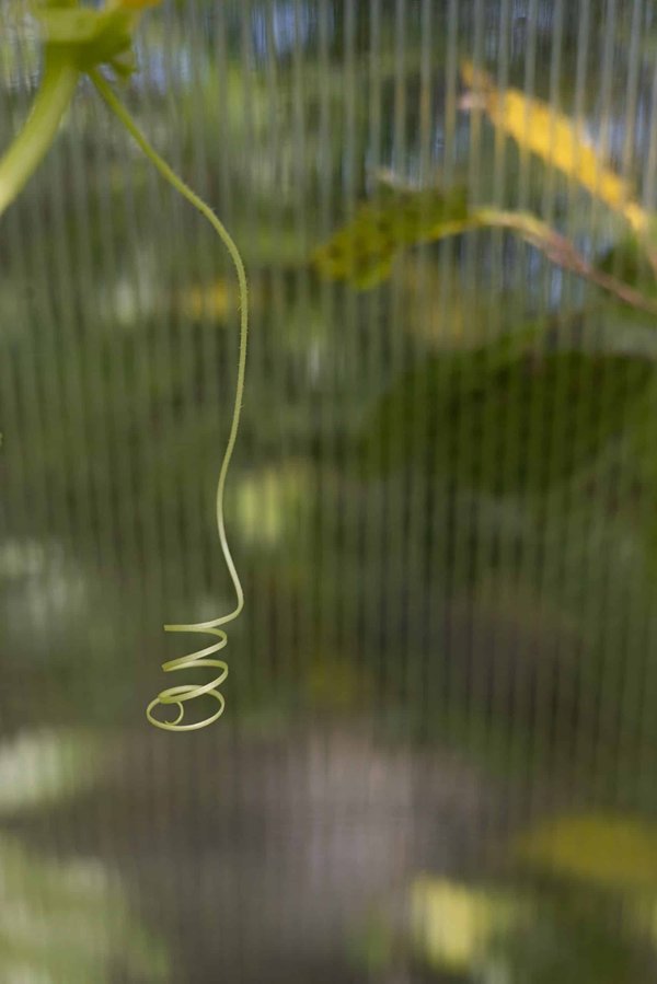 How Can UK Academic Publishers Adapt to the Increasing Demand for Open Access Materials?