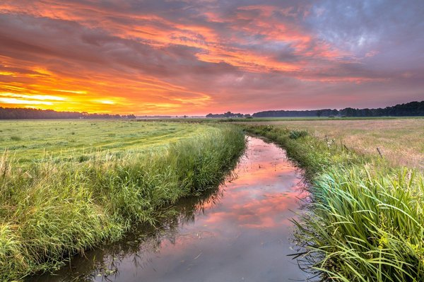 Introduction to the New Zealand eTA Assistant application